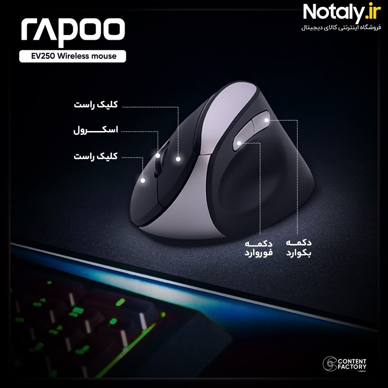 ماوس بیسیم رپو مدل EV250